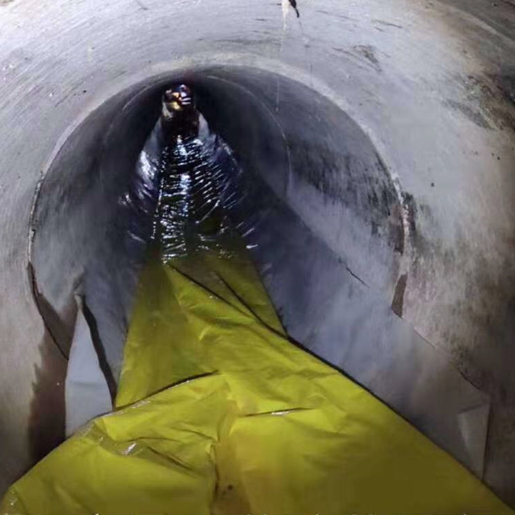 利国镇管道光固化修复